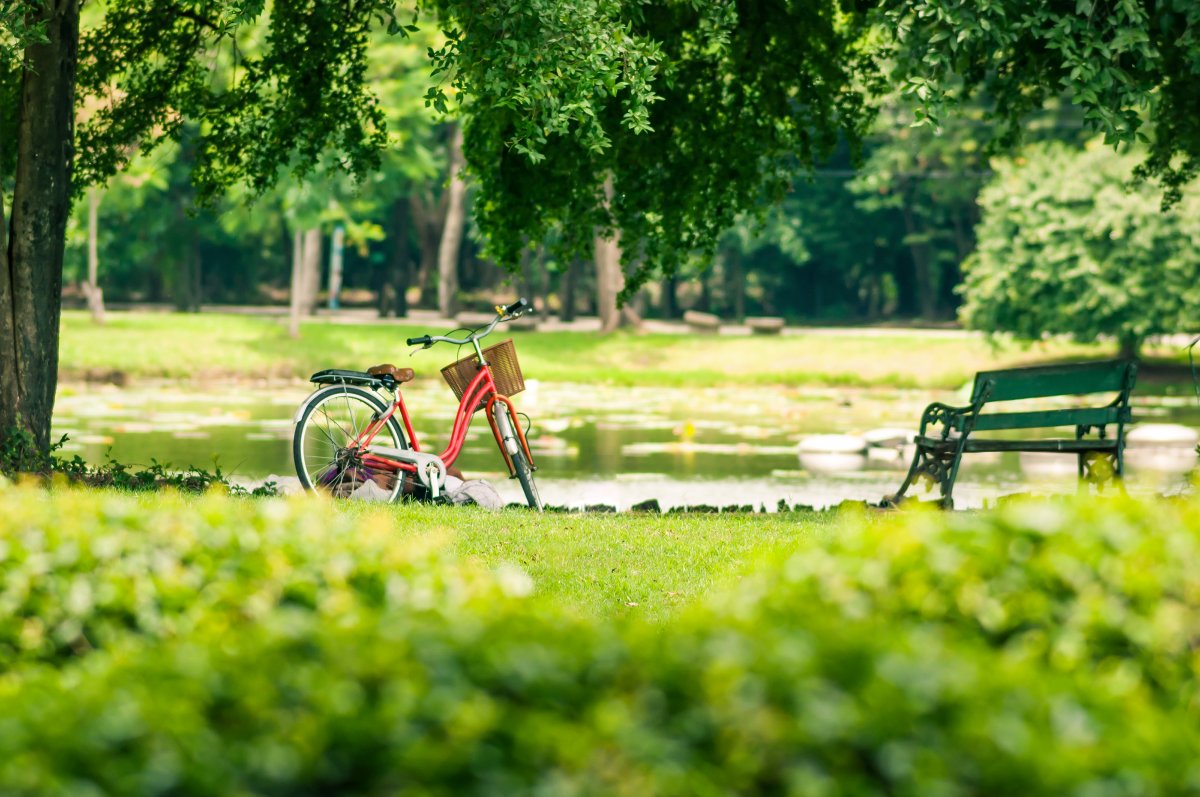 Green Living & Conservation